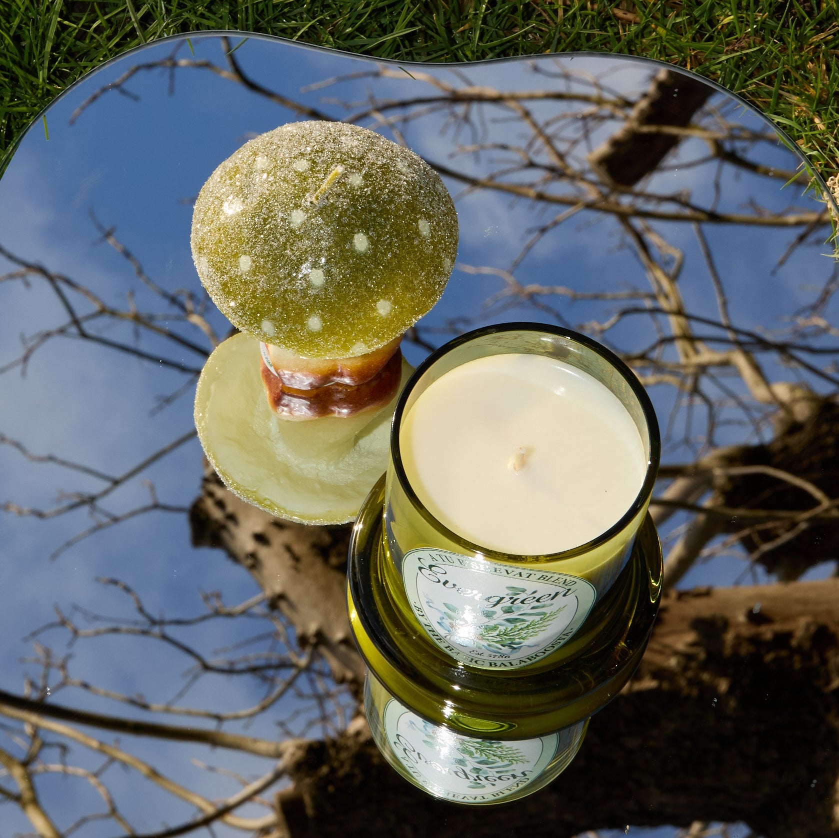 TU B'SHEVAT GIFT SET