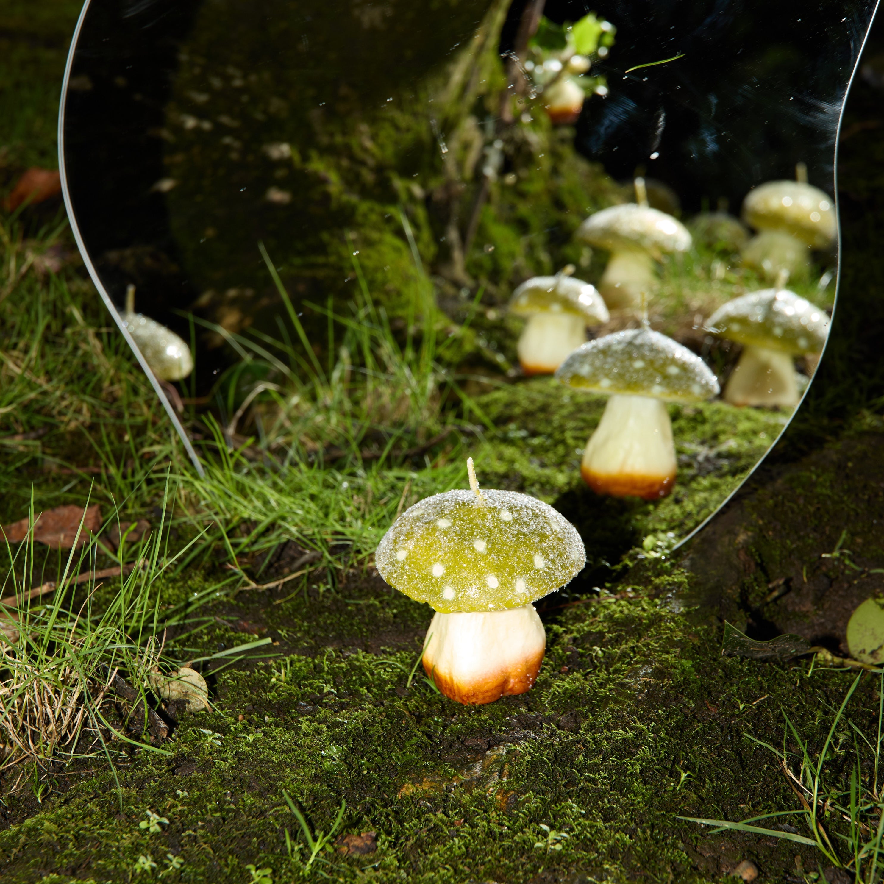 MYSTIC MUSHROOM - SINGLE