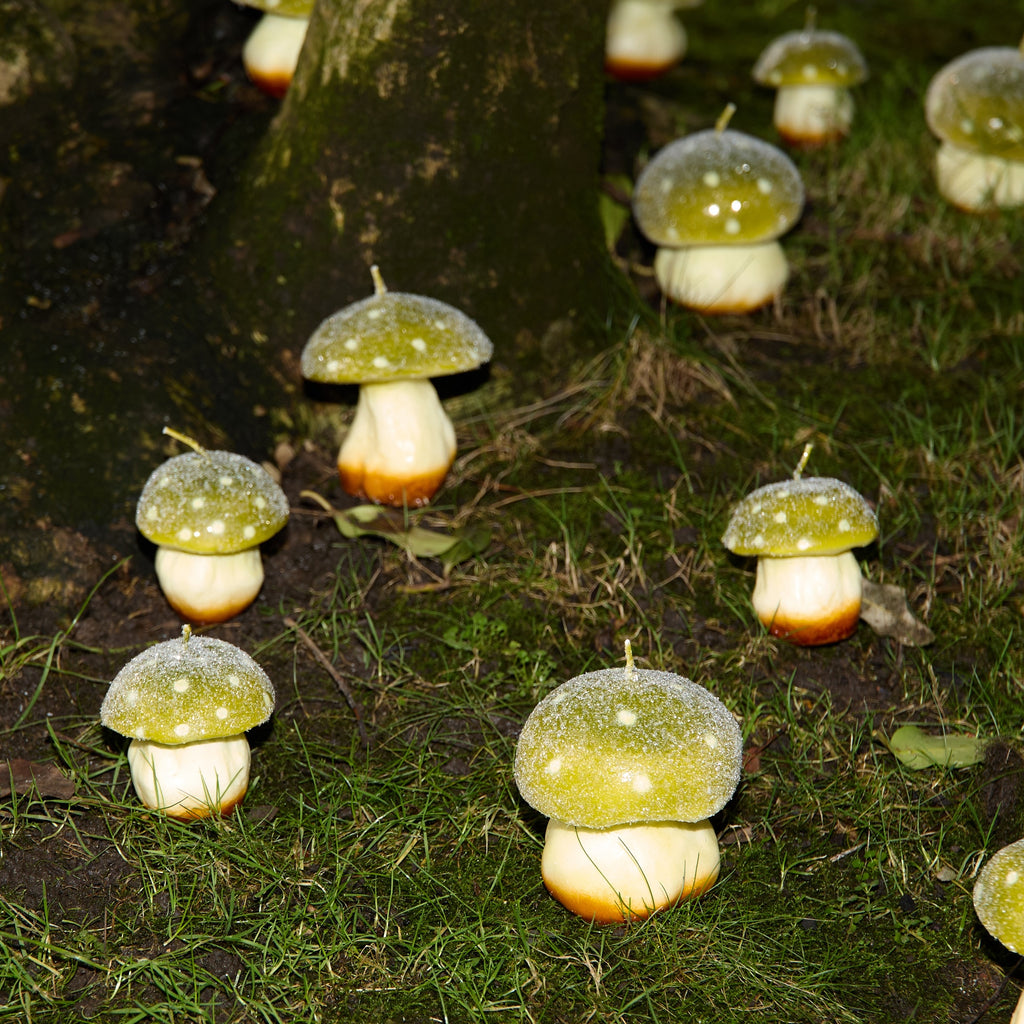 MYSTIC MUSHROOM - TRIO