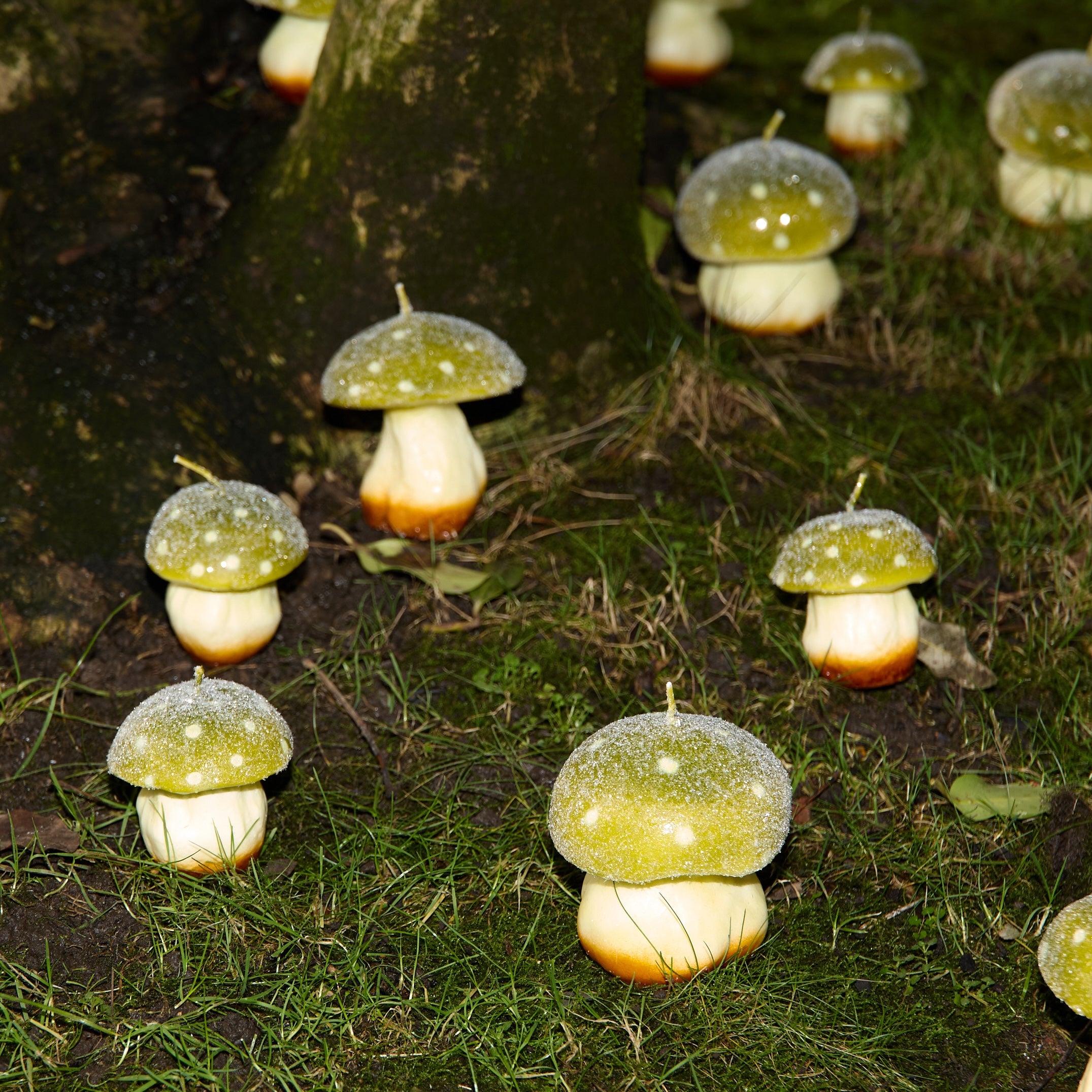 MYSTIC MUSHROOM - TRIO