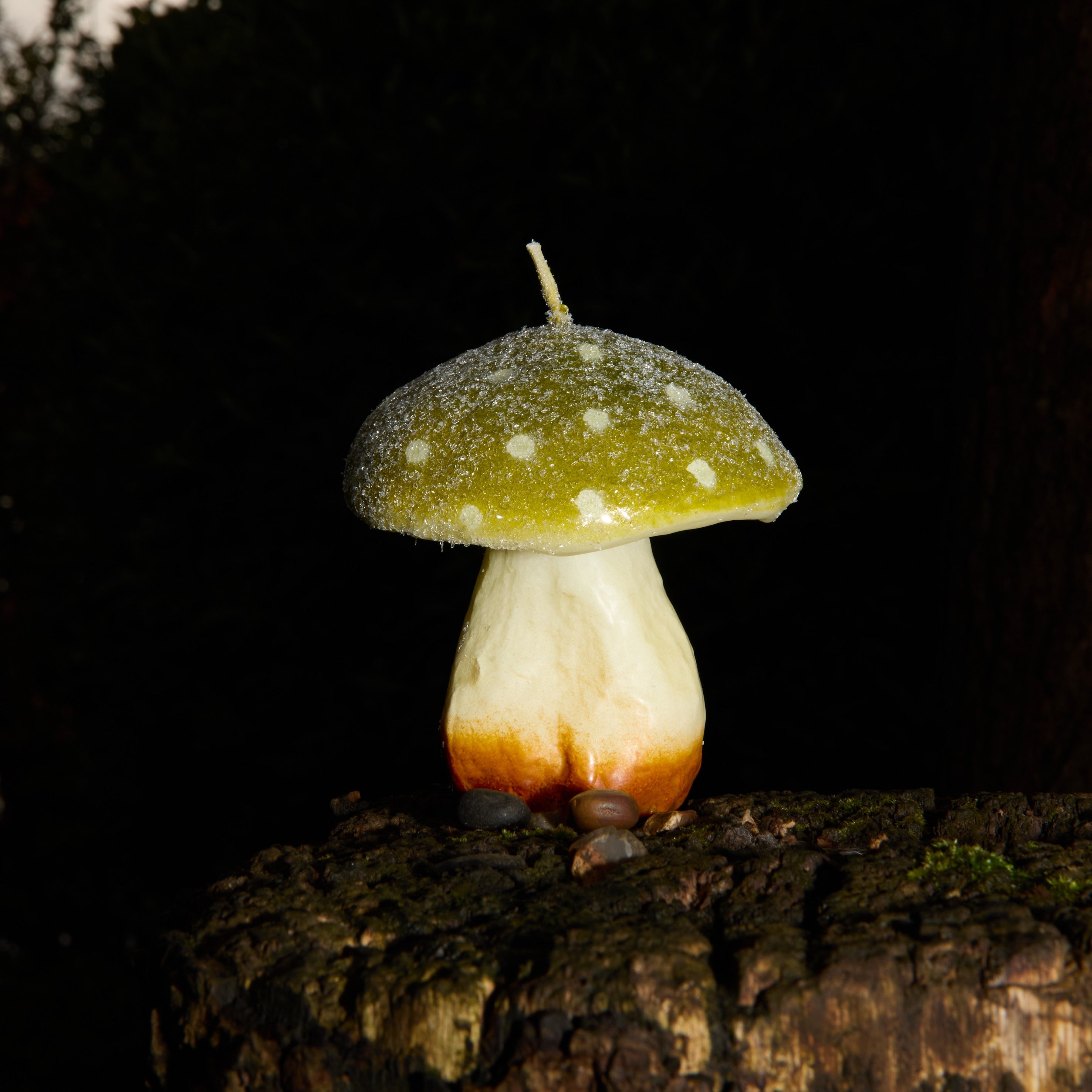 MYSTIC MUSHROOM - SINGLE