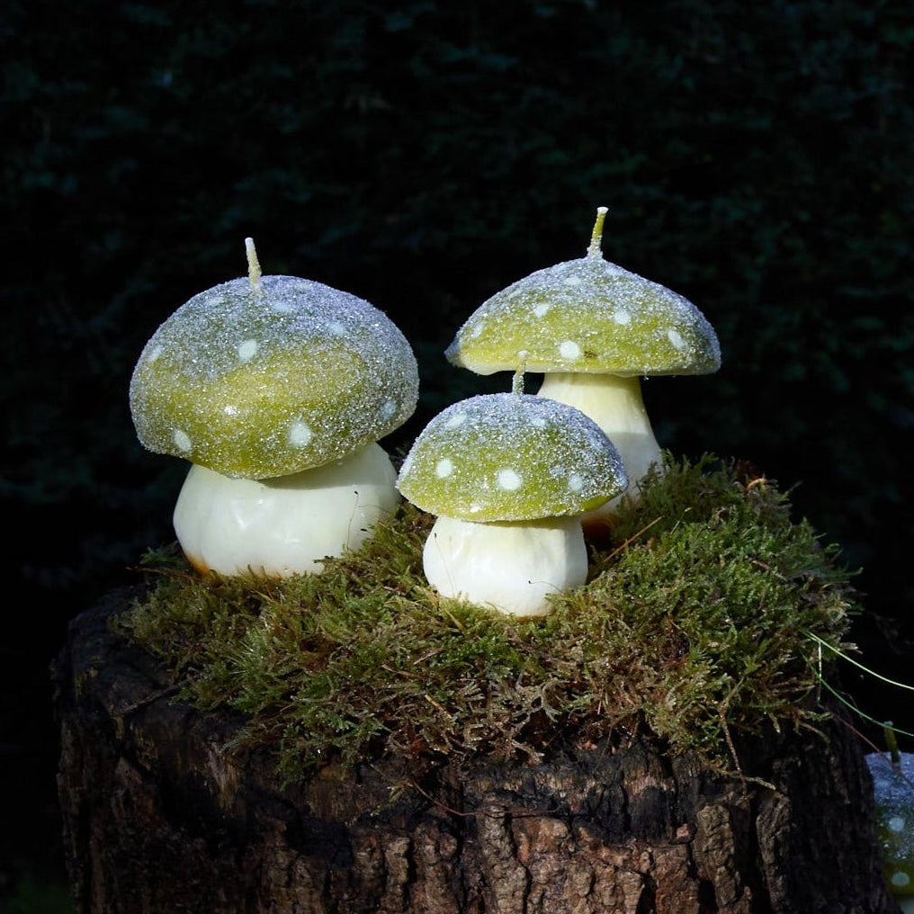 MYSTIC MUSHROOM - TRIO