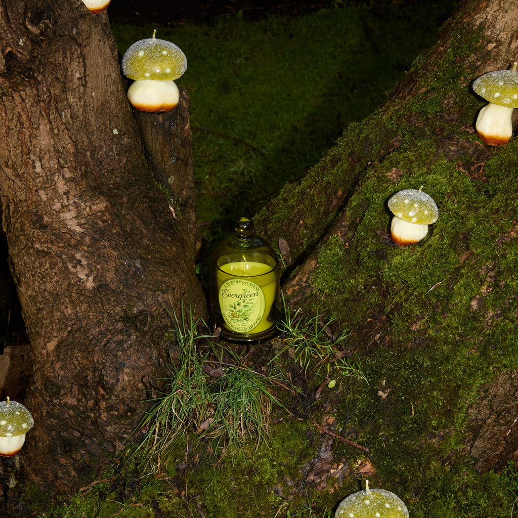 TU B'SHEVAT GIFT SET