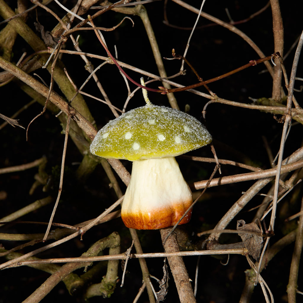 MYSTIC MUSHROOM - SINGLE