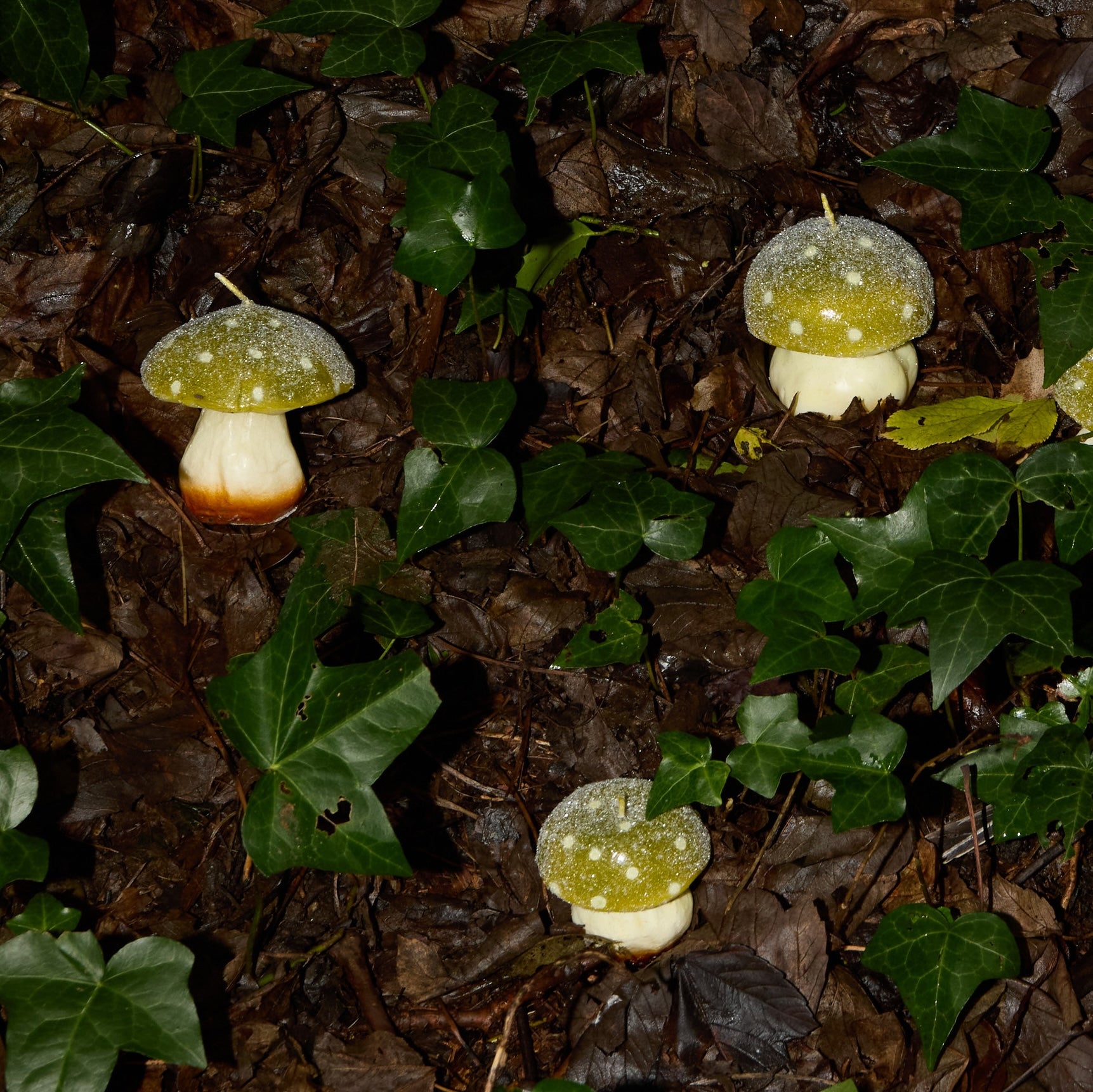 MYSTIC MUSHROOM - TRIO